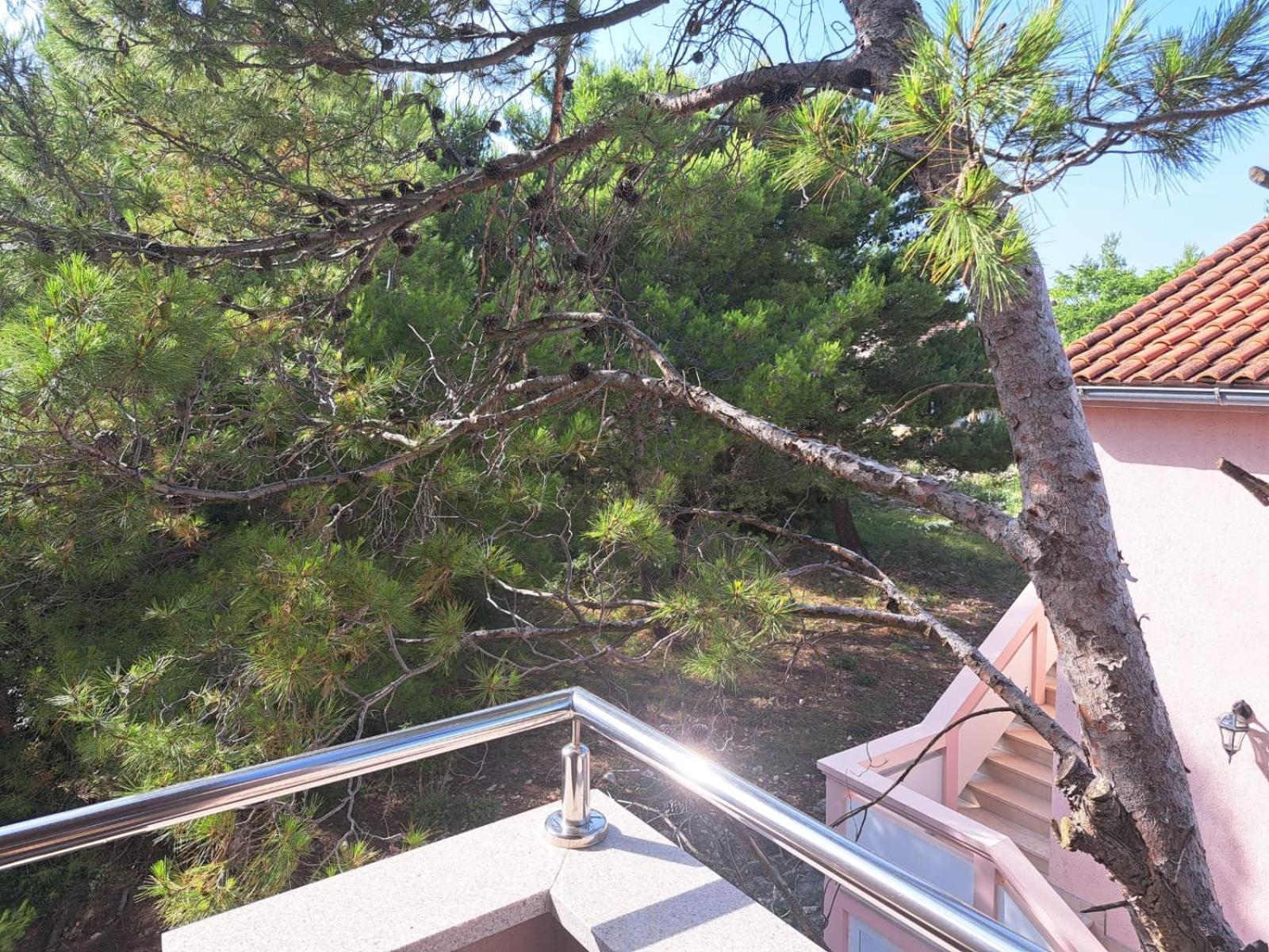 Apartmani Vukadin Vir Exterior foto